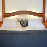 Hotel Royal 3*